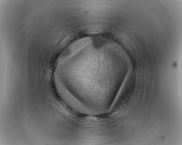 X0000091530227200709141442
