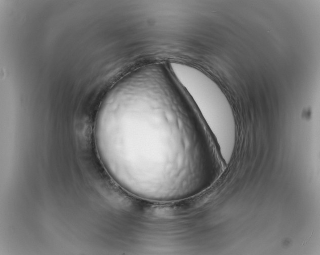 X0000091530228200709141442