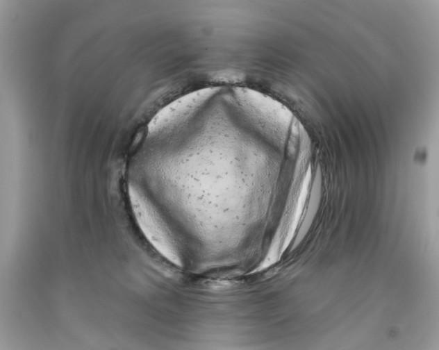 X0000091530229200709141442