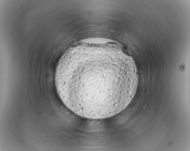X0000091530230200709141442