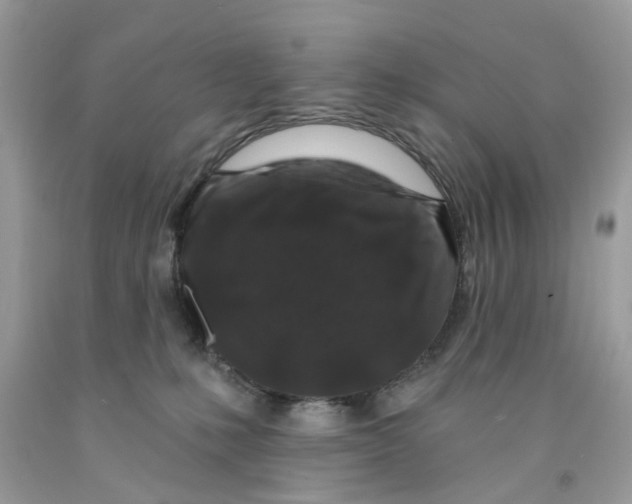 X0000091530231200709141442
