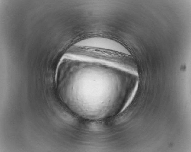 X0000091530232200709141442
