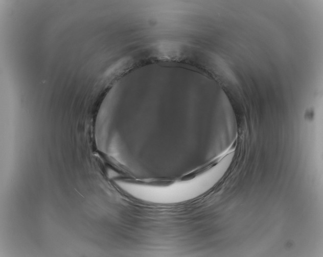 X0000091530233200709141442