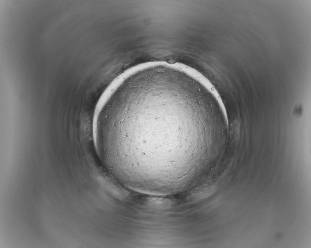 X0000091530234200709141441
