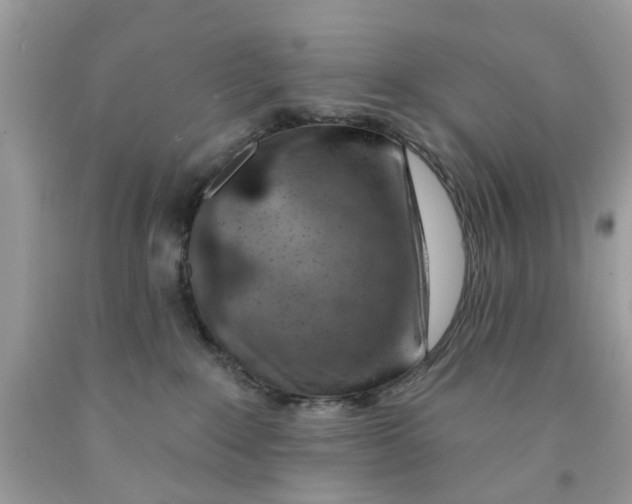 X0000091530235200709141441