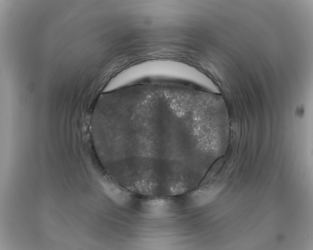 X0000091530237200709141441