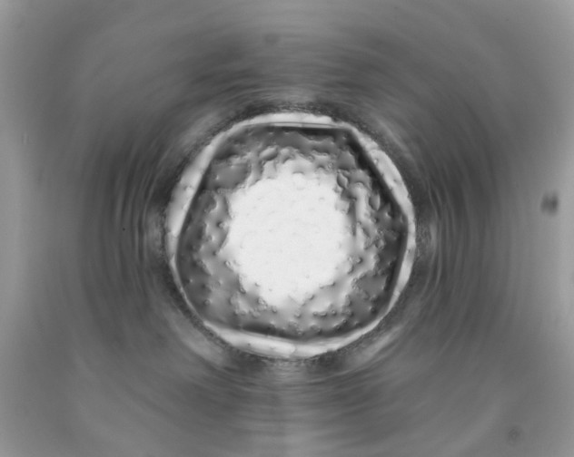 X0000091530238200709141441