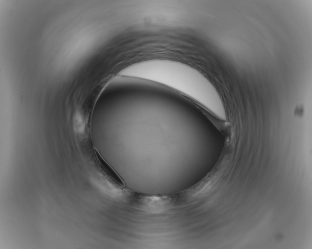 X0000091530239200709141441