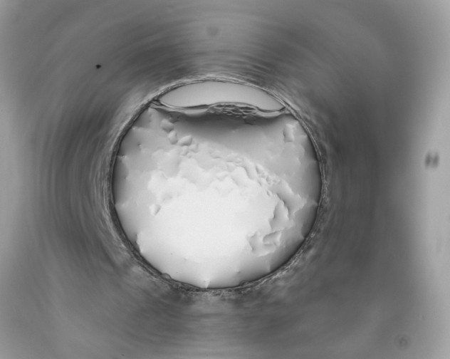 X0000091530241200709141441