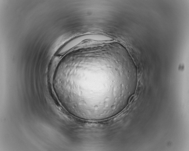 X0000091530242200709141441