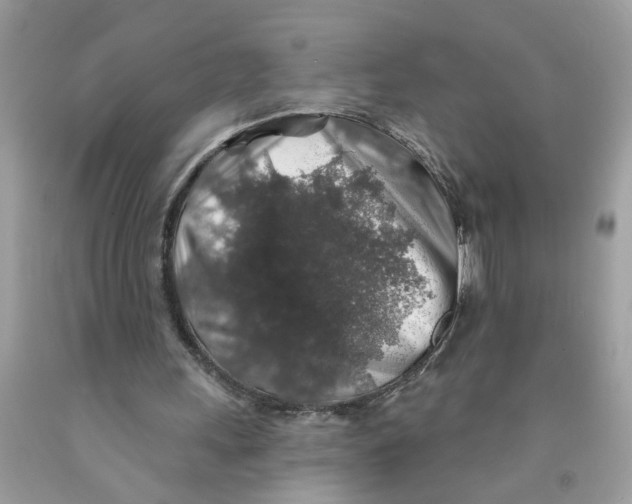 X0000091530243200709141441