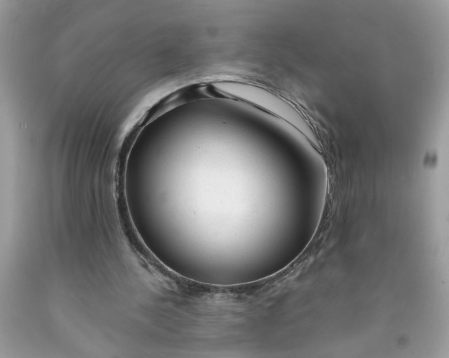 X0000091530244200709141441