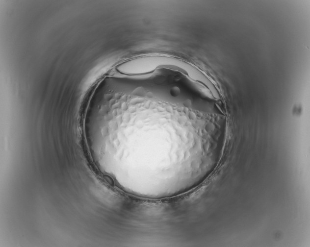 X0000091530245200709141441