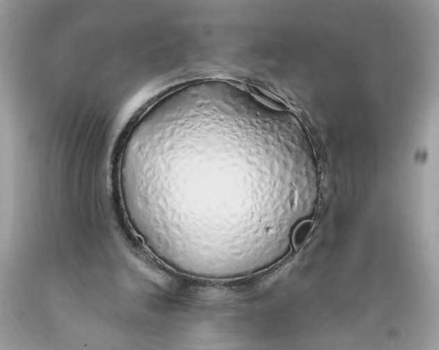 X0000091530246200709141441