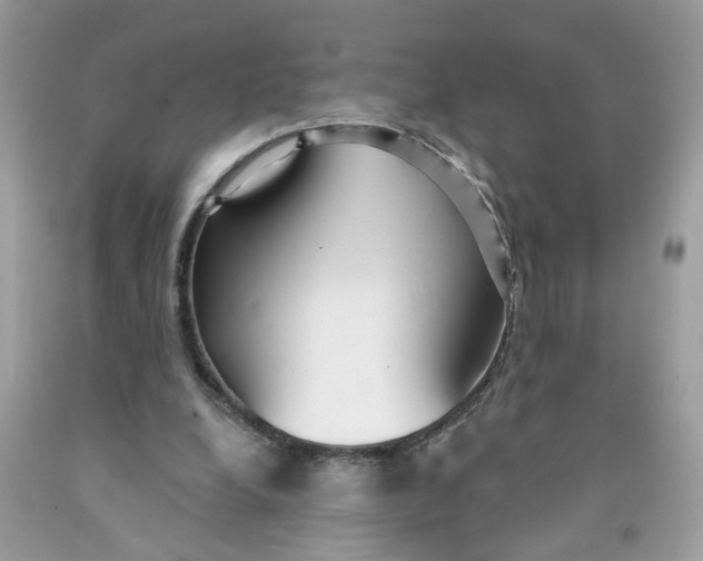 X0000091530248200709141441