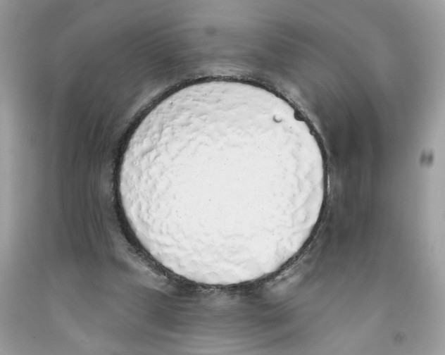 X0000091530249200709141441