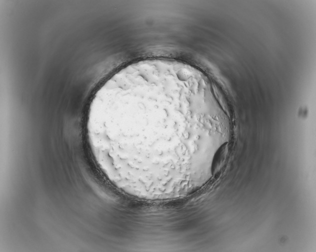 X0000091530250200709141441