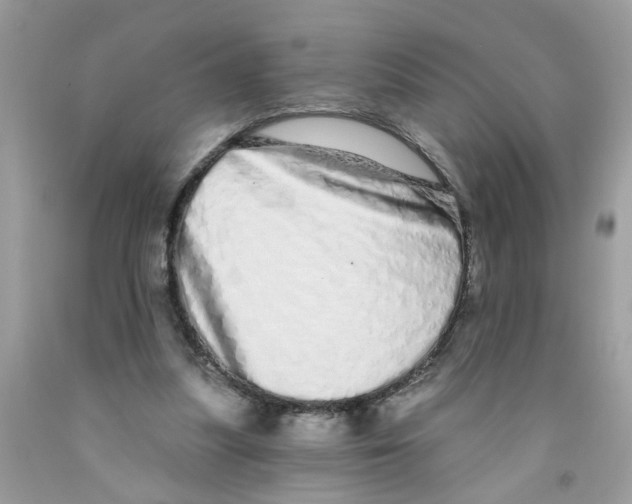 X0000091530251200709141441