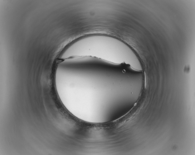 X0000091530252200709141441