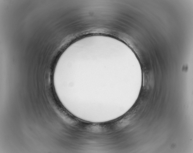 X0000091530253200709141441