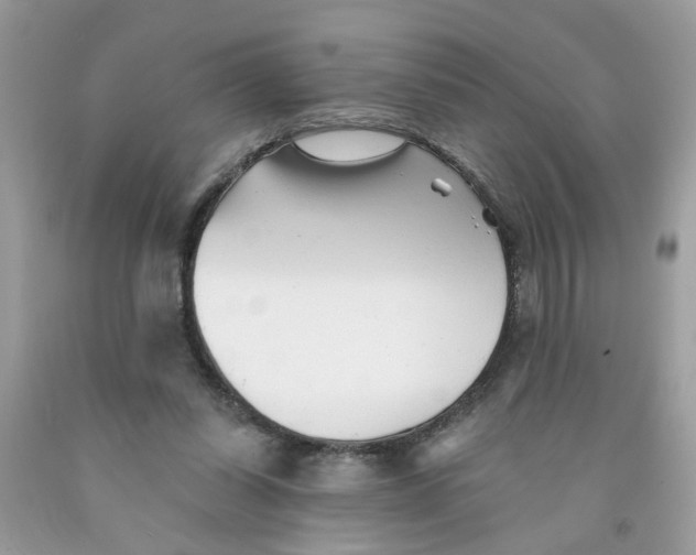 X0000091530254200709141441