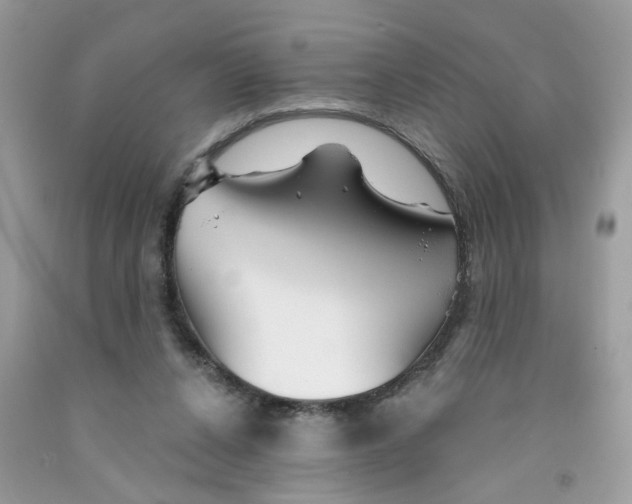 X0000091530256200709141441