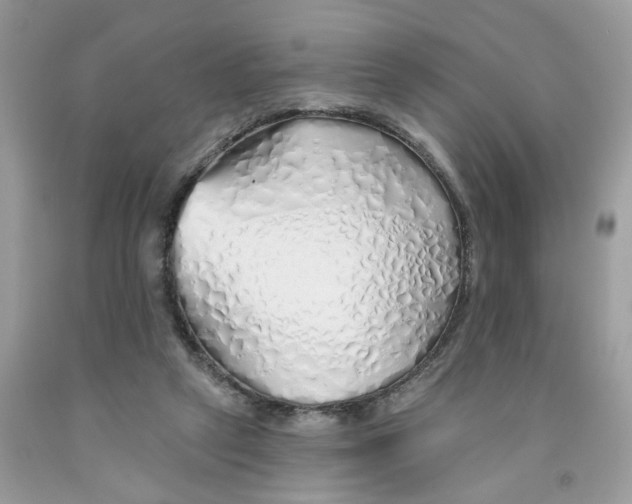 X0000091530257200709141441