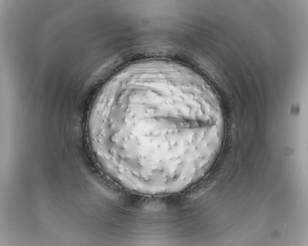 X0000091530258200709141441