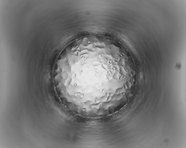 X0000091530259200709141441