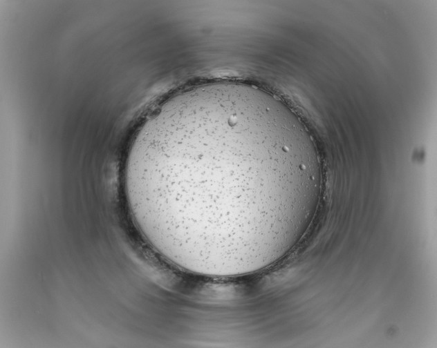 X0000091530260200709141441