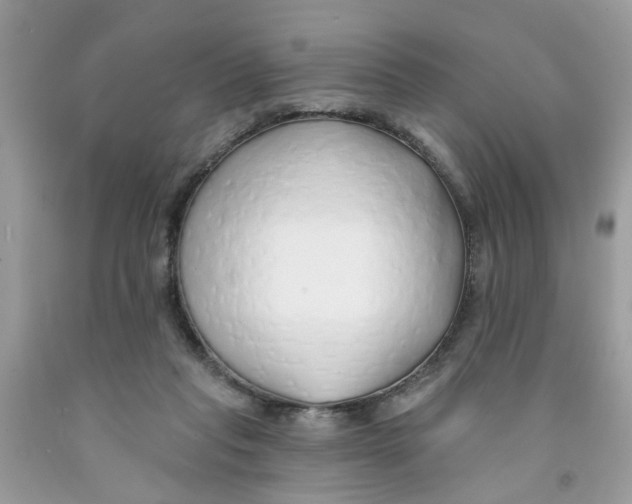 X0000091530261200709141441