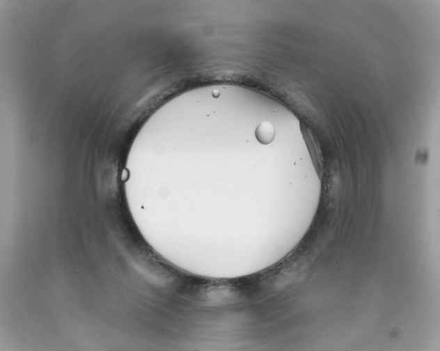 X0000091530262200709141441