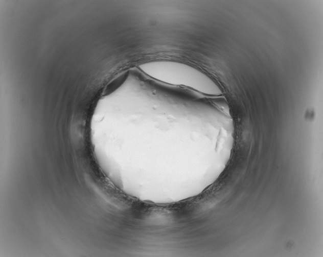 X0000091530263200709141441