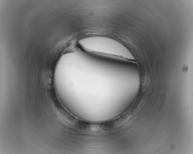 X0000091530264200709141441