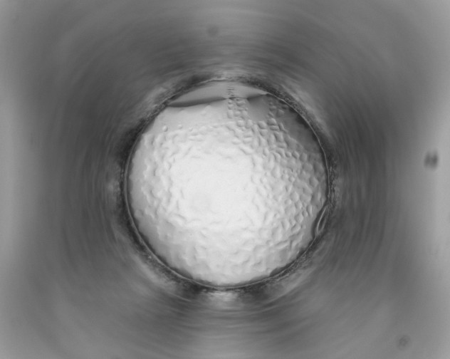 X0000091530265200709141441