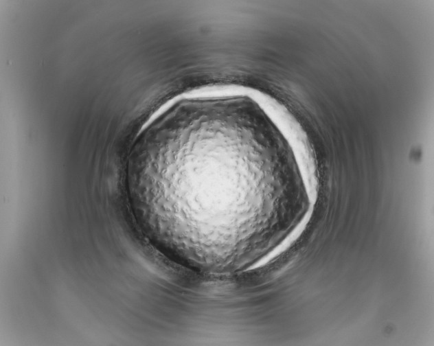 X0000091530266200709141441