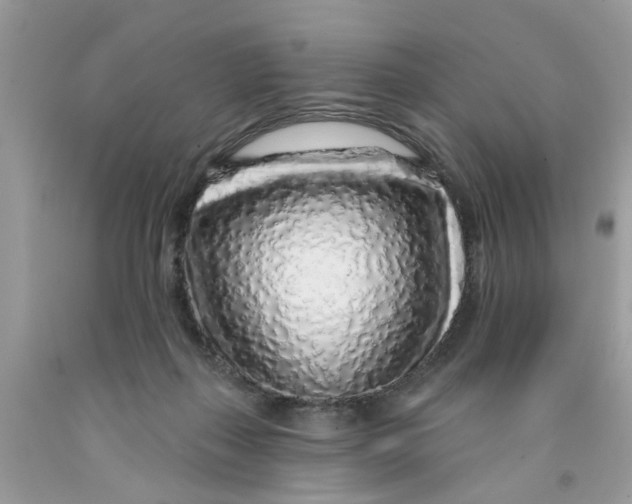 X0000091530267200709141441