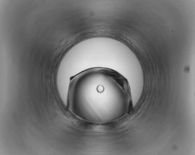 X0000091530268200709141441