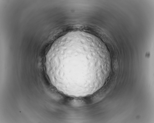 X0000091530270200709141441