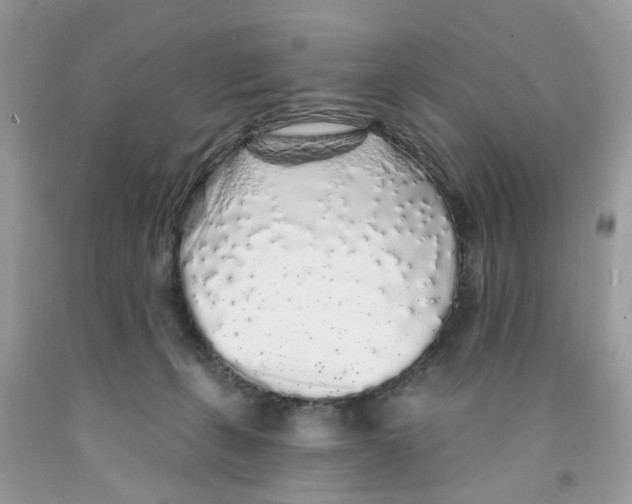 X0000091530271200709141441