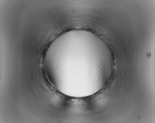 X0000091530272200709141441