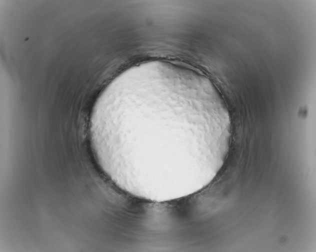 X0000091530273200709141441