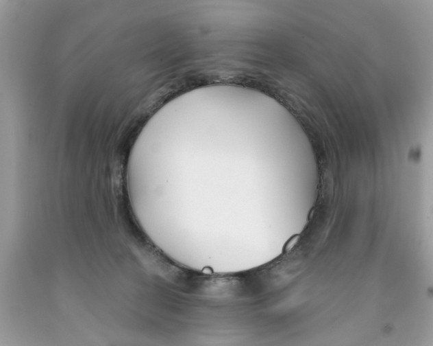 X0000091530274200709141441