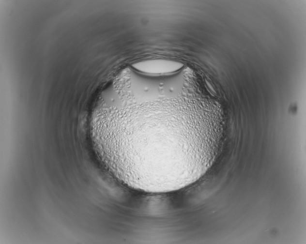 X0000091530275200709141441
