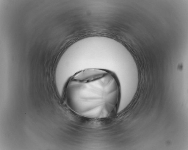 X0000091530276200709141441