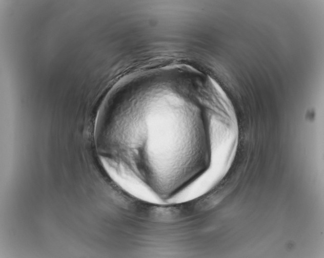 X0000091530277200709141441