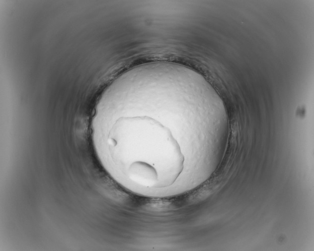 X0000091530278200709141441