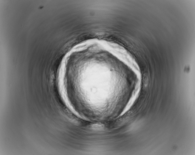 X0000091530279200709141441