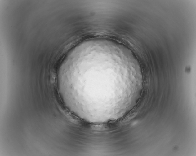 X0000091530281200709141441
