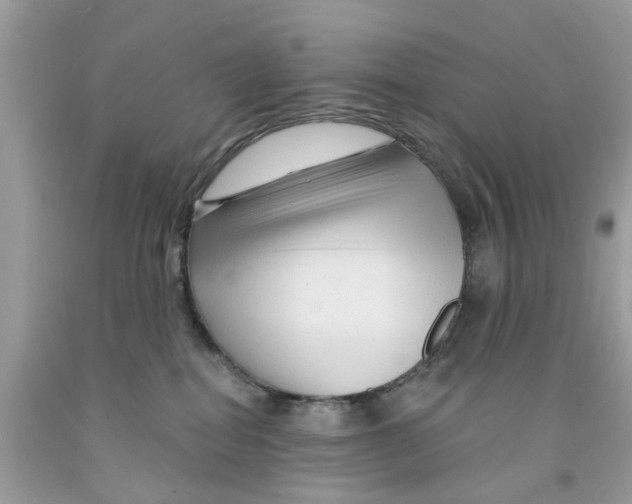 X0000091530282200709141441